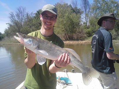 Zander
