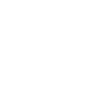 White Cat Fishing Logo